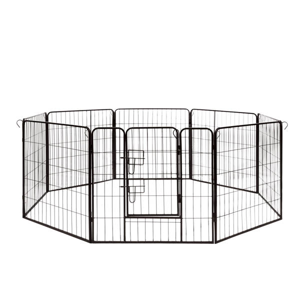 Tucker Murphy Pet™ Hanish 18.33 Square Feet Chicken Coop with Chicken